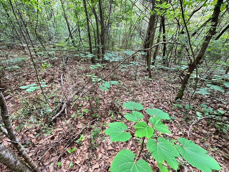 More Photos Of 0 Wilmer, Wilmer Land For Sale