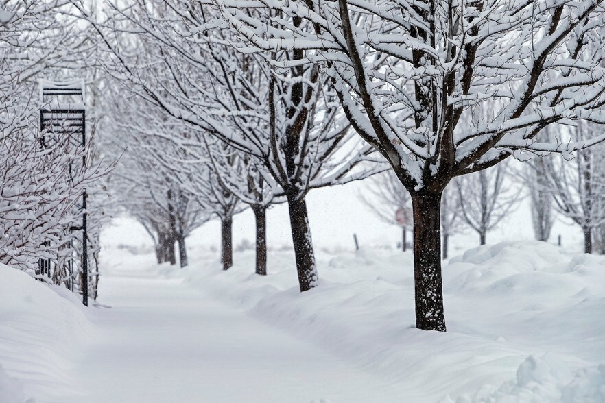 More Photos Of 9130 Village Way, Victor Land For Sale