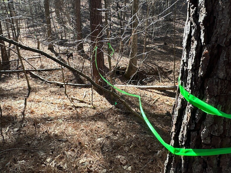 More Photos Of 3472 Prior Station Rd, Cedartown Land For Sale