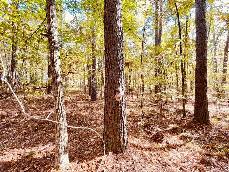 More Photos Of MS Highway 12, Durant Land For Sale