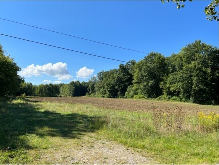 Primary Photo Of Colt Road, Transfer Land For Sale