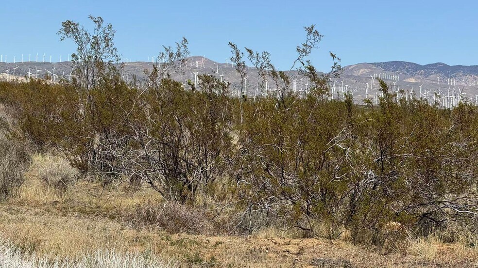 More Photos Of Rosamond CA 93560, Rosamond Land For Sale