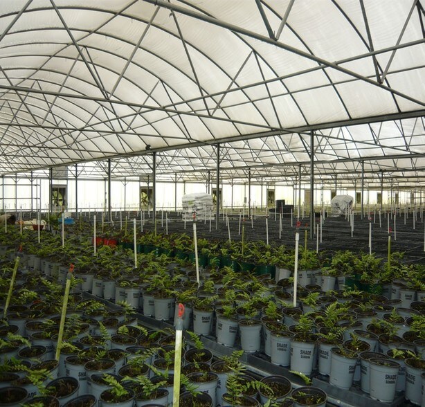 More Photos Of 4103 Ondich Rd, Apopka Specialty For Sale