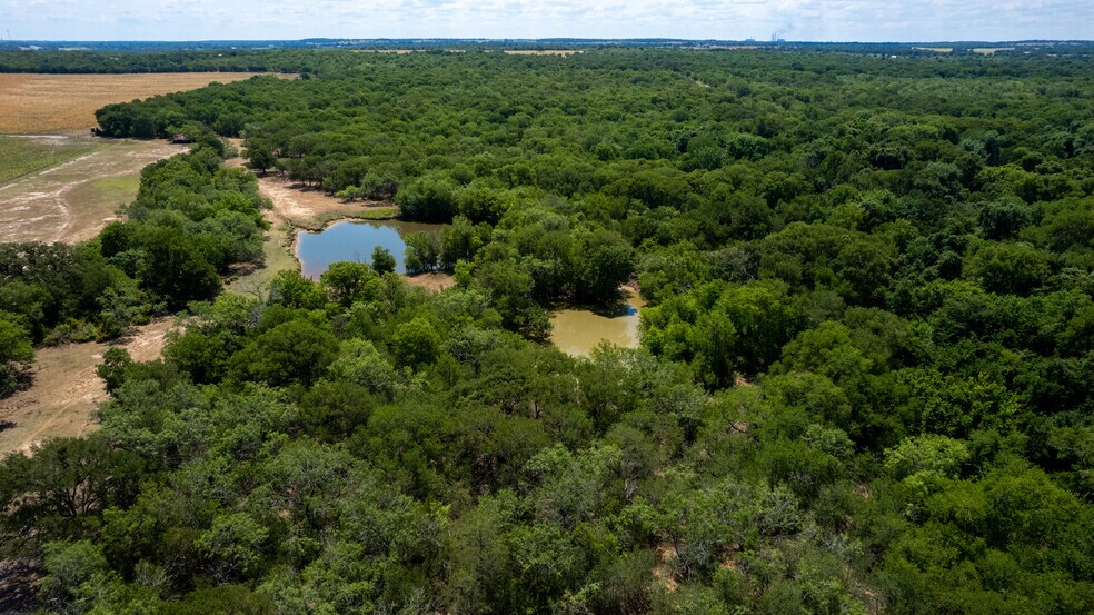 More Photos Of 2565 County Road 442, Thorndale Land For Sale