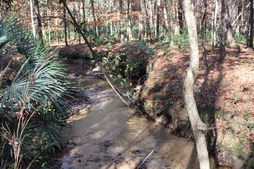 More Photos Of 4433 Pat Thomas Pky, Quincy Land For Sale