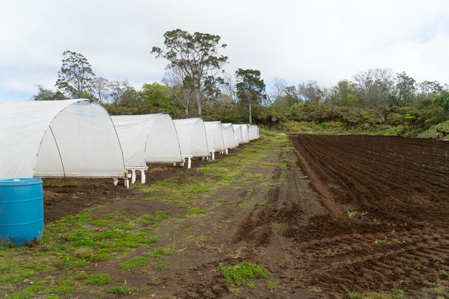 More Photos Of 19-4549 Amaumau Rd, Volcano Land For Sale