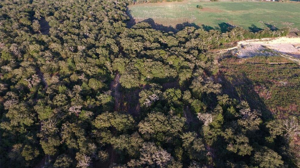 More Photos Of TBD CR 445, Lincoln Land For Sale