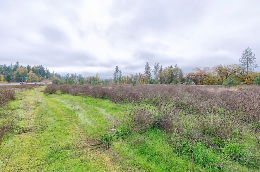 More Photos Of 25210 Redwood Highway Cave Junction OR 97523, Cave Junction Land For Sale