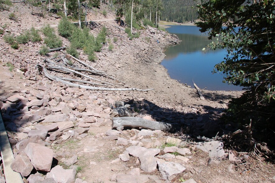 More Photos Of Lake Beaver E, Beaver Land For Sale