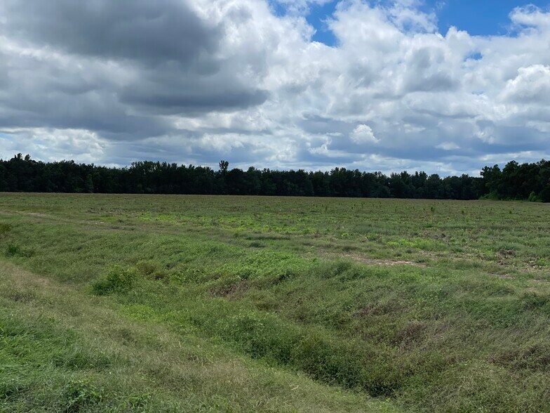 More Photos Of 5700 Pine Forest Rd, Walnut Hill Land For Sale