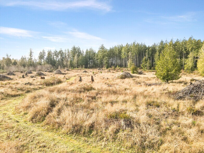 More Photos Of XXX Gravelly Beach Loop, Olympia Land For Sale