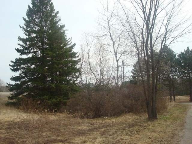 Primary Photo Of Hwy 8, Monico Land For Sale