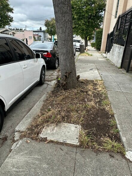More Photos Of 3316 MacArthur Blvd, Oakland Specialty For Sale