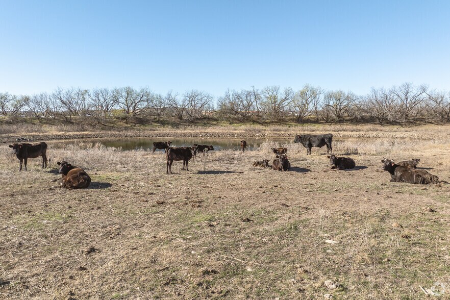 More Photos Of US Hwy 283 & I-20, Baird Land For Sale
