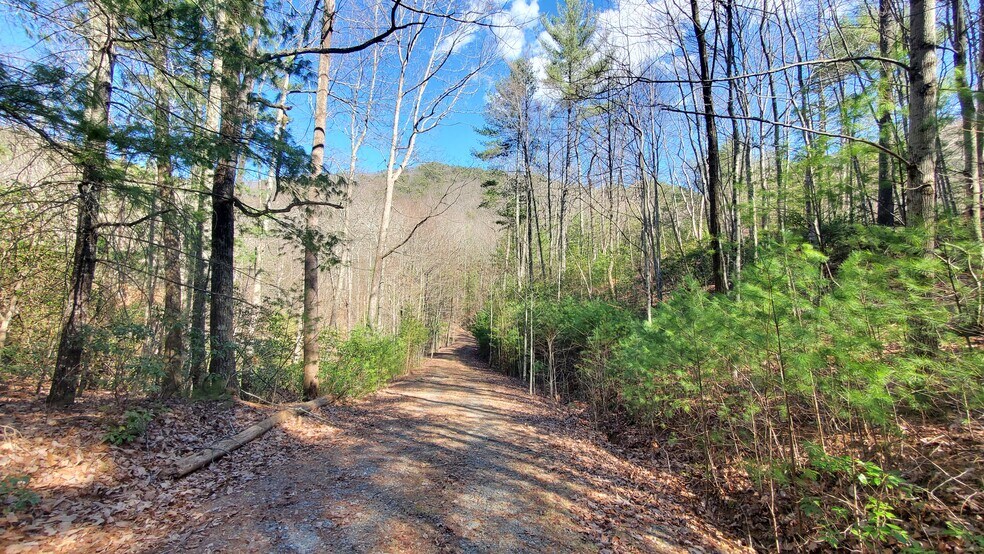 More Photos Of Mountain Cove Estates Rd, Cherry Log Land For Sale