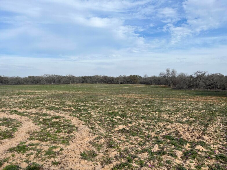 More Photos Of 10382 W FM 476, Poteet Land For Sale