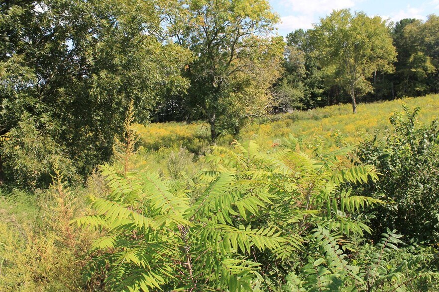 More Photos Of 1841 Young Rd S, Cleveland Land For Sale