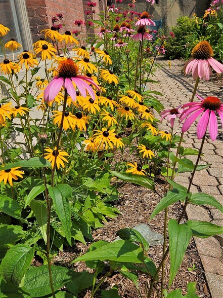 More Photos Of 42-67 Eastern Ave, Saint Johnsbury Office For Sale