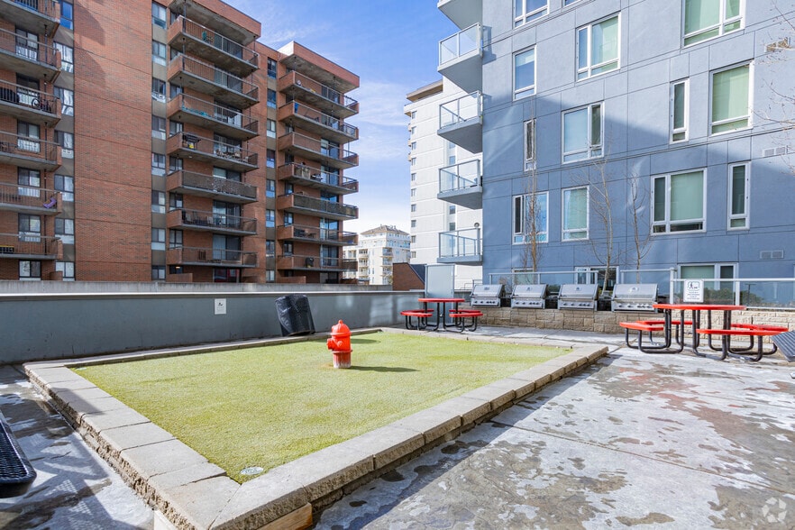 More Photos Of 1235 11th Ave SW, Calgary Apartments For Lease