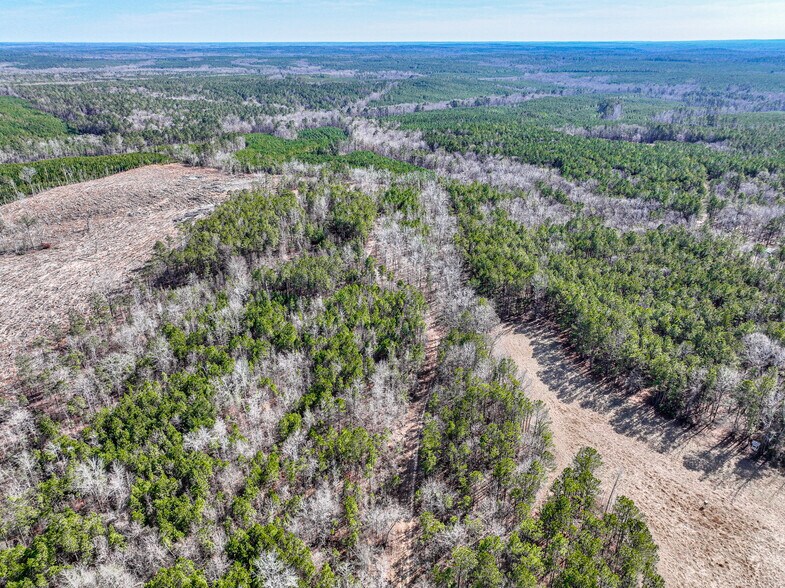 More Photos Of 184 Young Rd, Milledgeville Land For Sale