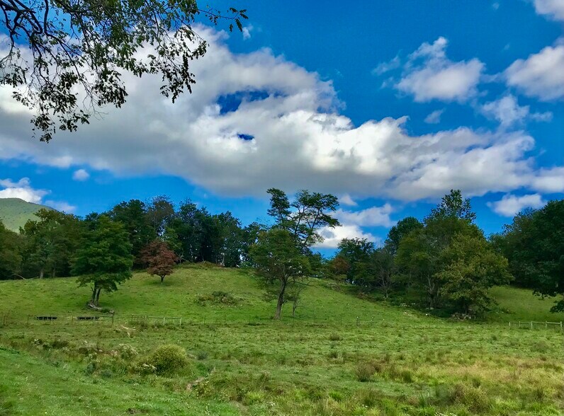 More Photos Of Little Washington Rappahannock County, Washington Land For Sale