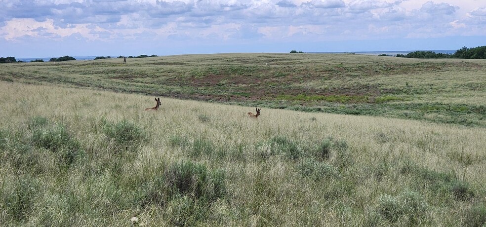 More Photos Of Empire Reservoir, Wiggins Land For Sale