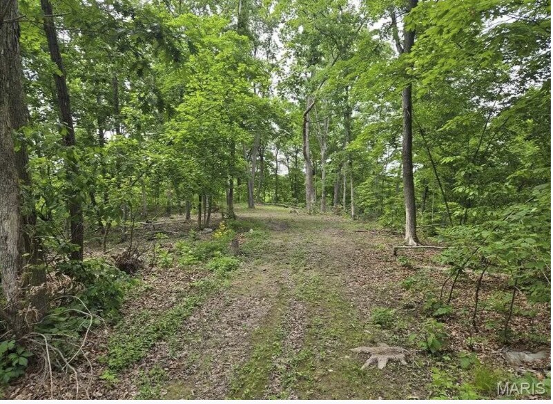 More Photos Of 6959 W Fellin Drive, Mount, Mount Olive Land For Sale