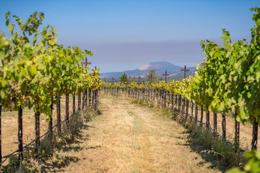 More Photos Of 31630 Forwards Rd, Manton Land For Sale