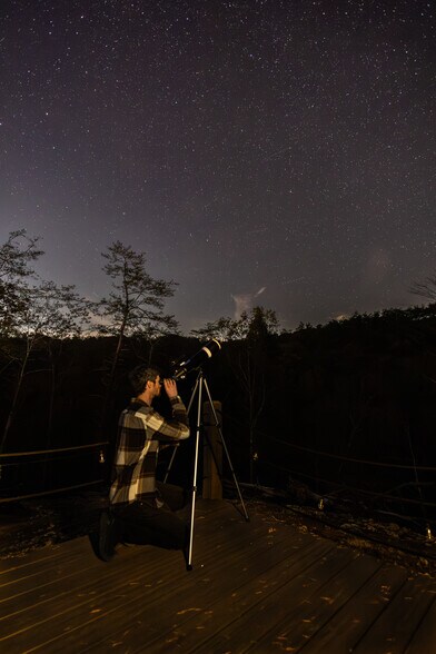 More Photos Of 1708 Minty Way, Sevierville Hotel For Sale