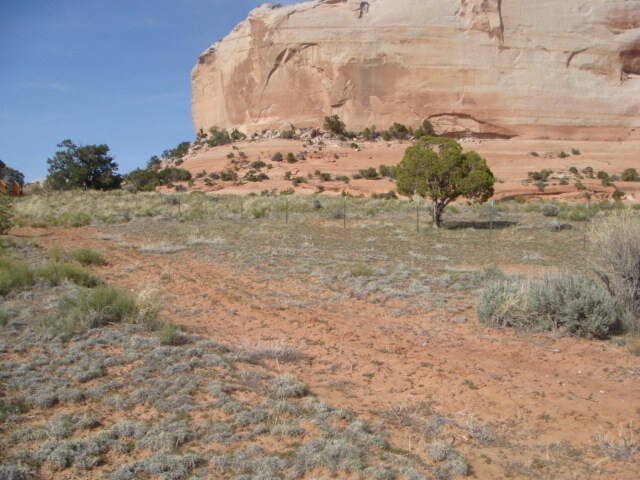 Primary Photo Of 2 Pioneer Dr, Monticello Land For Sale