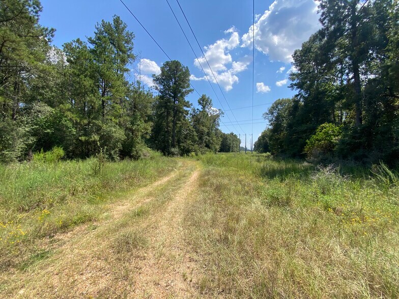 More Photos Of US 51 Bypass hwy, Roseland Land For Sale
