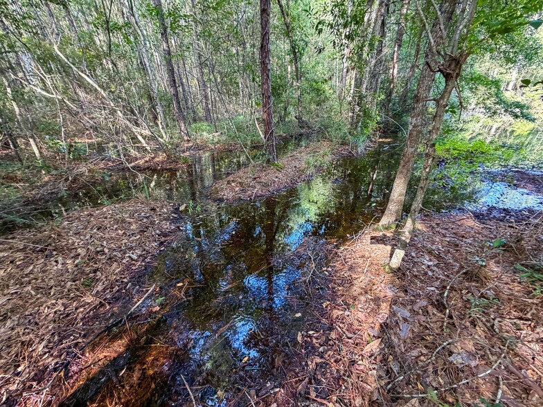 More Photos Of 3.39 Acres, FM 787, Saratoga Land For Sale