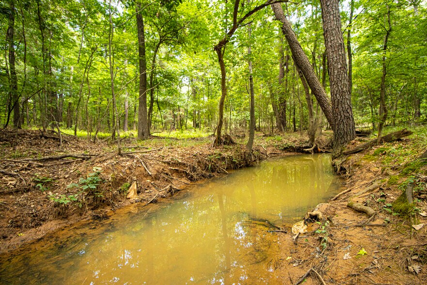 More Photos Of 6817 TX-42, Kilgore Land For Sale