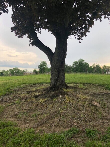 More Photos Of 1231 N Euclid Ave, Dayton Land For Sale