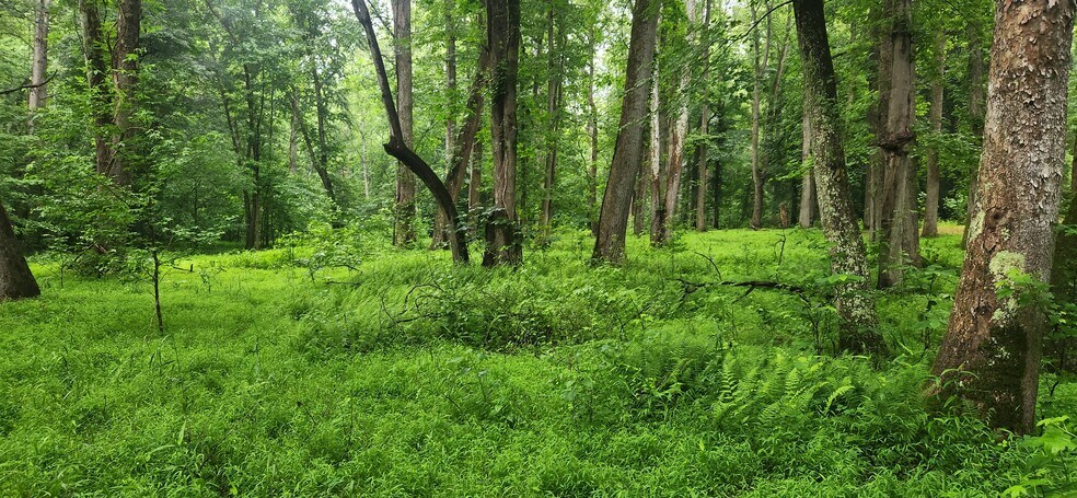 More Photos Of 8710 Poorhouse Rd, Port Tobacco Land For Sale