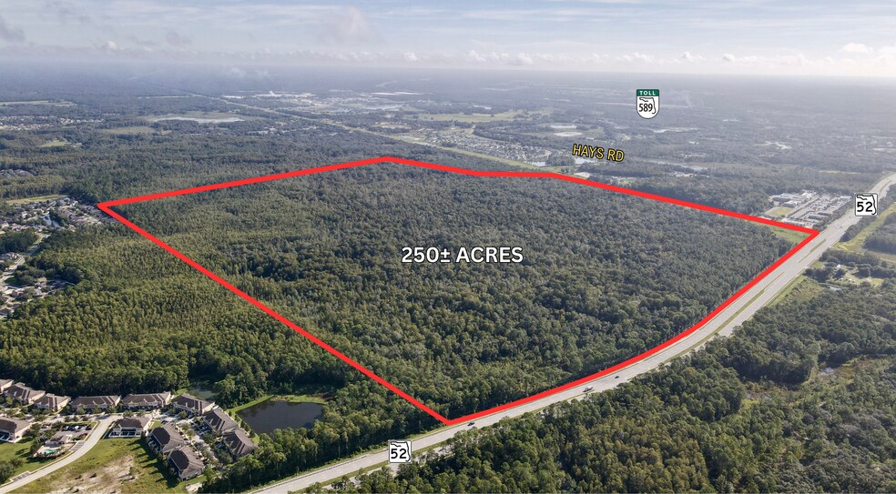 More Photos Of 14833 State Road 52, Hudson Land For Sale