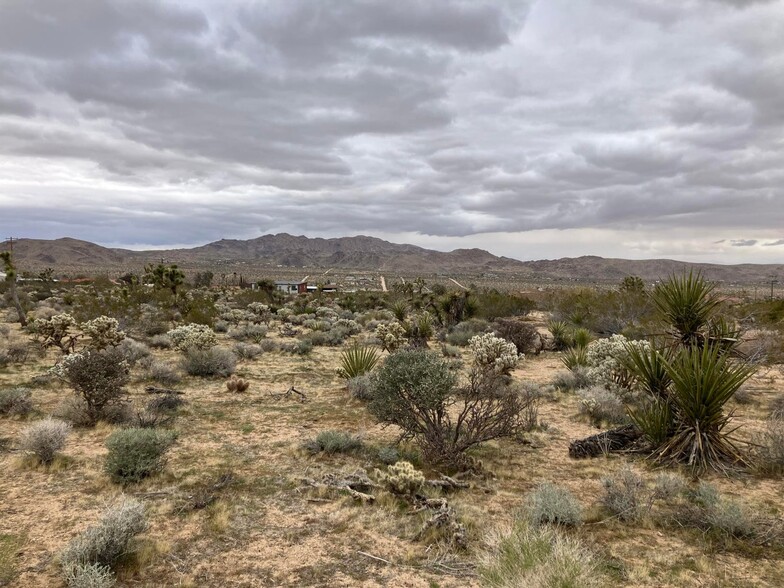 Primary Photo Of 60926 Alta Vista Dr, Joshua Tree Land For Sale