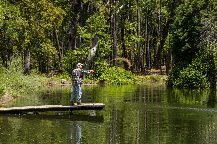 More Photos Of 35350 State Highway 36 E, Paynes Creek Land For Sale