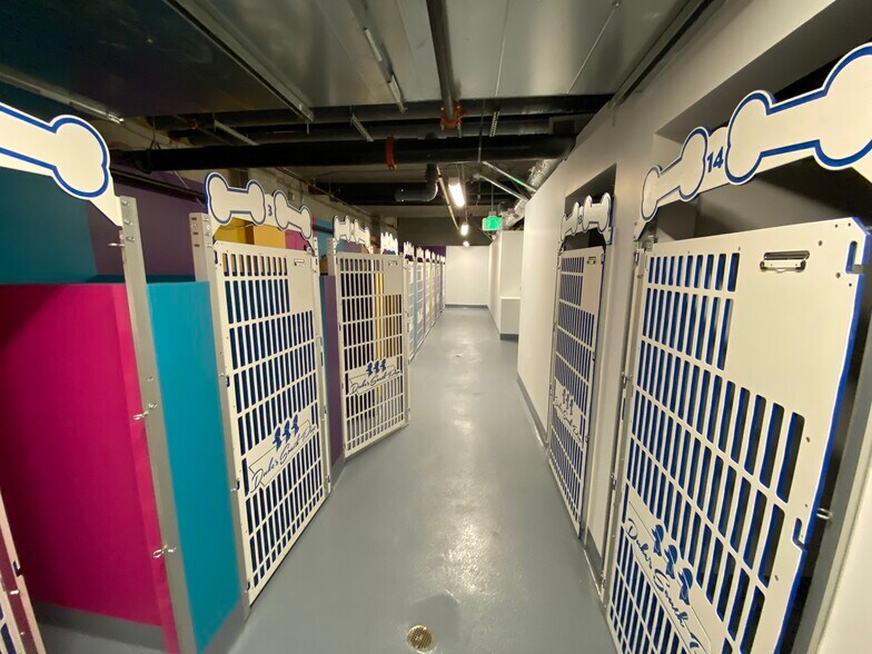 More Photos Of 1243 S Olive St, Los Angeles Apartments For Lease