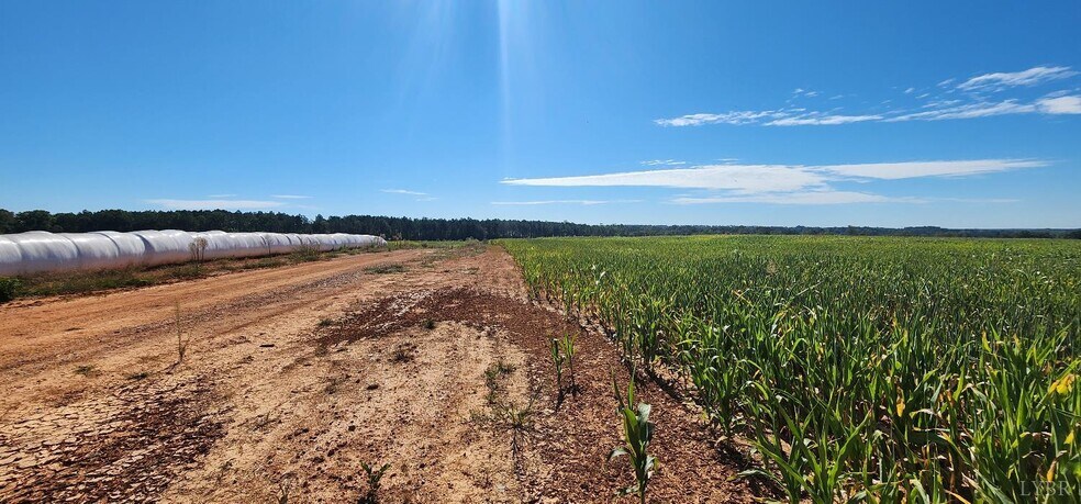 More Photos Of Glenmore Road, Scottsville Land For Sale