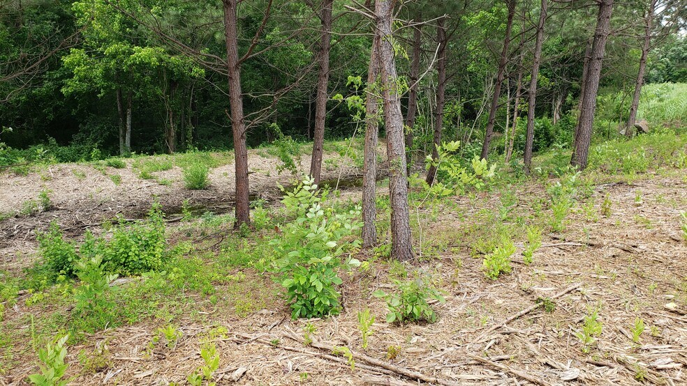 More Photos Of U.S. Hwy 411 & Hwy 72 @ Hwy 72, Vonore Land For Sale