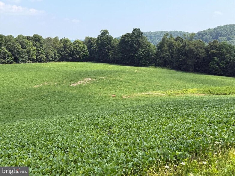 More Photos Of 361 Caney Valley Rd, Markleysburg Land For Sale