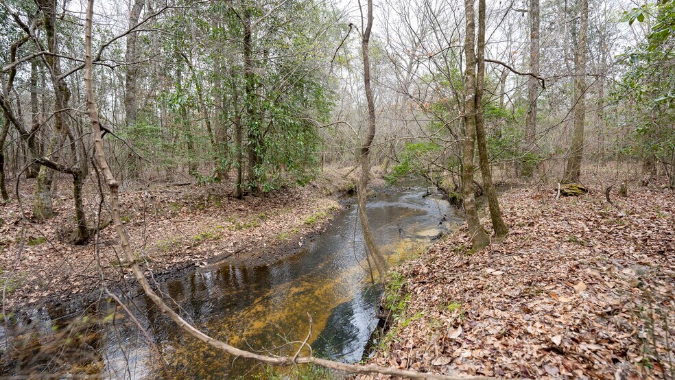 More Photos Of 500 Old Milledgeville Rd, Cochran Land For Sale