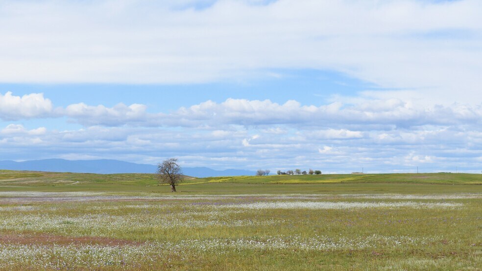 More Photos Of Road 33 @ Road D, Artois Land For Sale