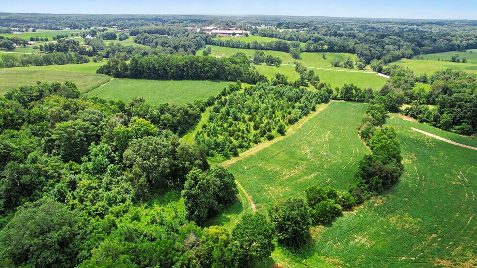 More Photos Of 0 Coffman Rd, Borden Land For Sale