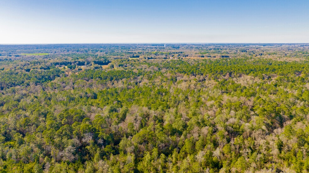 More Photos Of 12960 County Road 48, Silverhill Land For Sale