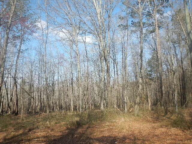 More Photos Of 0 Peavy Road Rd, Byron Land For Sale