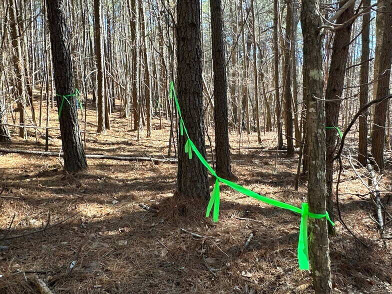 More Photos Of 3472 Prior Station Rd, Cedartown Land For Sale
