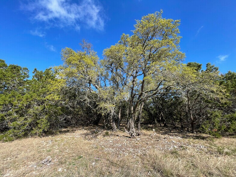 More Photos Of 1400 Greer ln, Burnet Land For Sale