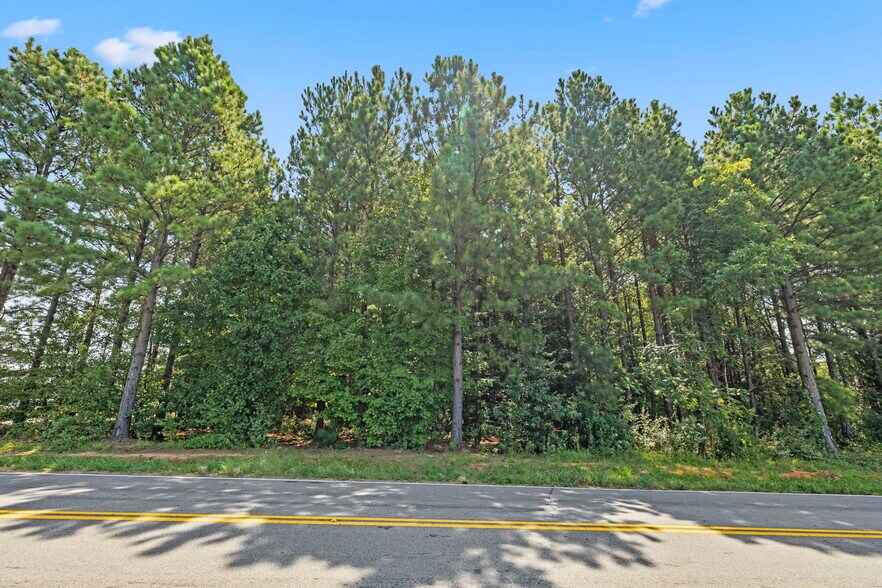 More Photos Of 1244 E Butler Rd, Greenville Land For Sale